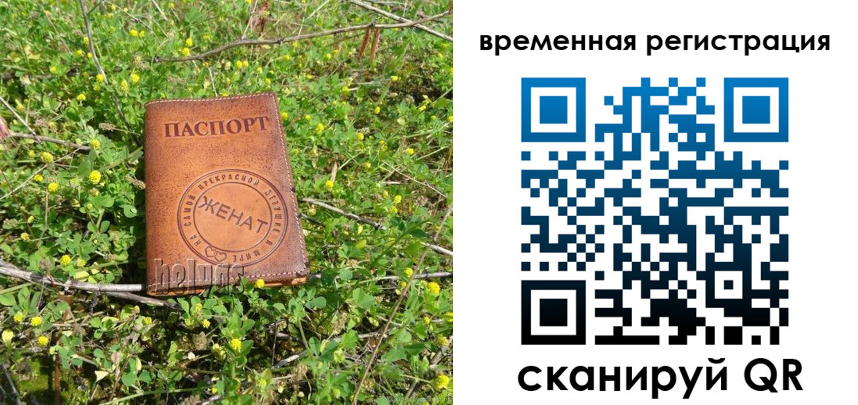 прописка регистрация в Стародубе